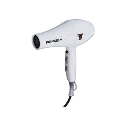 خرید سشوار خانگی پرنسلی مدل PR 249 AT