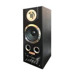 اسپیکر حرفه ای دو تکه ونوس مدل- PV-SB500