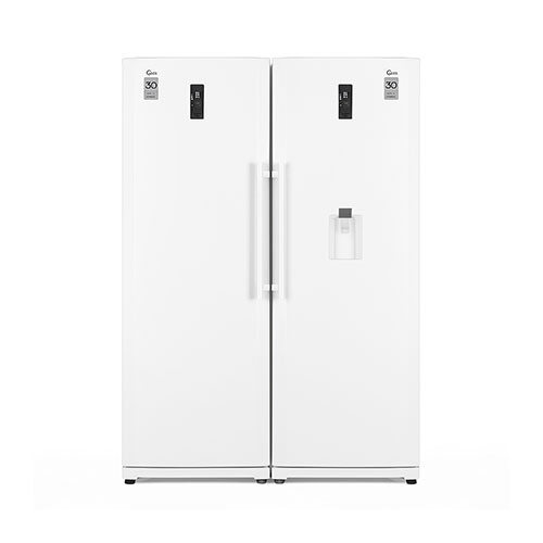 یخچال و فریزر دوقلو کلور مدل RNT101-FNT101