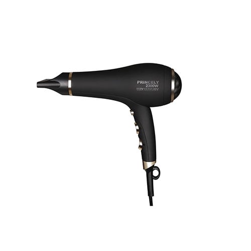 سشوار خانگی پرنسلی مدل PR248AT